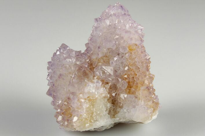 Cactus Quartz (Amethyst) Crystal Cluster- South Africa #187194